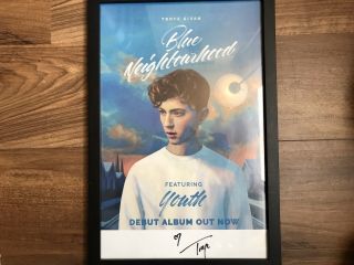 Troye Sivan Blue Neighbourhood Youth Signed Autographed Framed Poster 12” X 18”