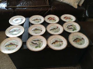 Vintage Hand Painted French Fish Dessert Plates Set Of 12 Gilded