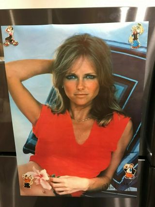 Cheryl Tiegs Poster From 1977,  Pro Arts,  Red Shirt 20 " X 28 ",