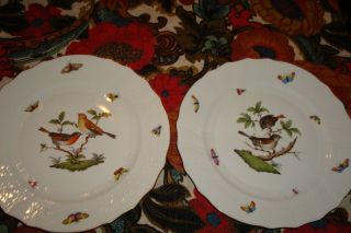 2 Herend Rothschild Bird 10 " Dinner Plate Hand Painted Hungary Exc Cond