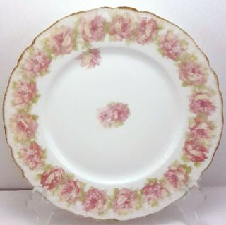 Haviland Schleiger 55 - 13 Drop Rose Dinner Plate 9 - 5/8 " Pink Cabbage Roses