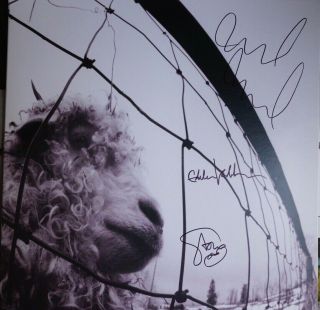 Pearl Jam Eddie Vedder,  Mike Mccready & Stone Gossard Signed Vinyl Vs