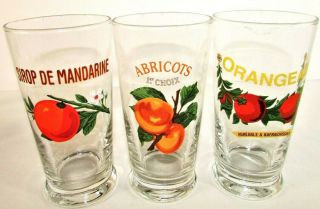Williams Sonoma Harvest Market 3 Glasses Tumblers Orangeade Mandarine & Apricots