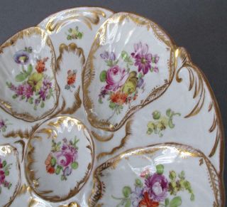 Antique DRESDEN HP Porcelain OYSTER Plate Colorful FLOWERS GILT Trim HIRSCH 3