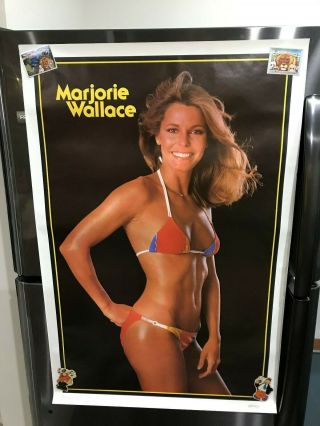 Marjorie Wallace Poster From 1978,  Dargis 23 " X 35 ",  3597 Miss World