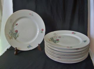 11 Rorstrand Sweden Porcelain Dinner Plates 541 Wild Flower Design