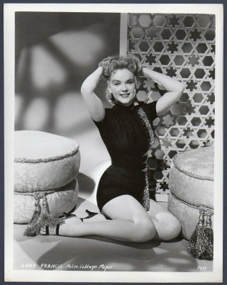 Anne Francis Busty Leggy Actress Vintage Orig Photo 8x10 Cheesecake Pinup