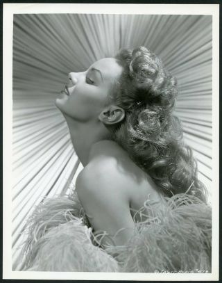 Janet Blair Vintage 1940s Stunning Profile Portrait Photo