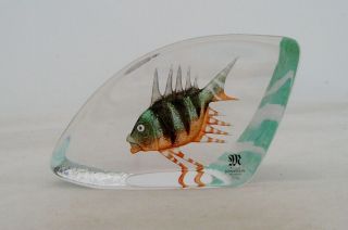 Mats Jonasson Glass Sweden Unusual Coloured Coral Fish Paperweight