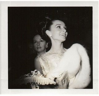 Audrey Hepburn Looking Glamorous At Event B/w Snapshot 3 1/2 Sq Photo