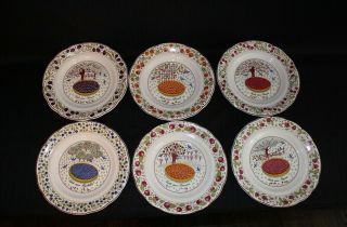 6 Gien France 6 1/4” Les Tartes Dessert Fruit Canape Plates W/original Box