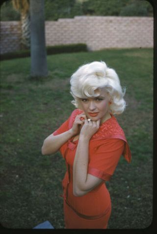 Jayne Mansfield Sexy Glamour Pin Up In Red Dress 35mm Transparency Rare