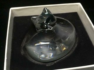 Steuben Glass Cat " Blessing " Hand Cooler Crystal Paperweight Signed W/box