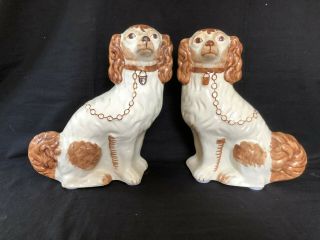 Antique Pair Staffordshire Dogs.  Unusual Color.  Marked And Signed Bottom