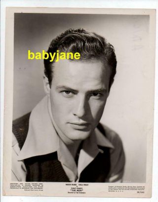 Marlon Brando 8x10 Photo Young Handsome Portrait 1950 The Men