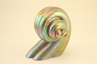 Cohn Molly Stone Studio Art Glass Iridescent Magnum Sea Shell Paperweight Signed