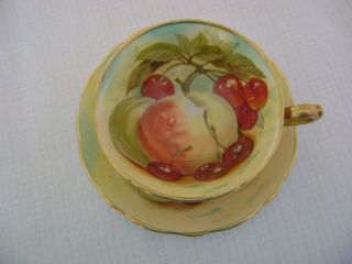 Rare Hammersley Fruits Cup & Saucer Hand Painted Signed By A.  Washington
