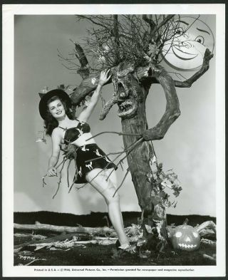 Poni Adams Halloween Theme Vintage 1946 Leggy Cheesecake Photo