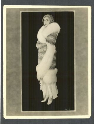 Gorgeous Constance Bennett Glamor Fashion 1925 Photo - Early - Sally Irene Mary