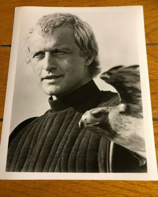 Rutger Hauer Glossy Picture Lady Hawke 8 X 10 Black And White Vintage