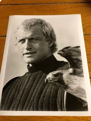 Rutger Hauer Glossy Picture Lady Hawke 8 X 10 Black And White Vintage 2