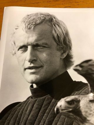 Rutger Hauer Glossy Picture Lady Hawke 8 X 10 Black And White Vintage 3