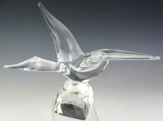 Signed Daum France Crystal Bird In Flight Art Glass Modernist Sculpture Nr Sms