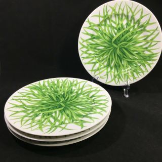 4 Taitu Erbe By Emilio Bergamin Salad Plates Made In Italy Green Herbs