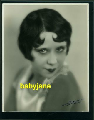 Marjorie " Babe " Kane Vintage 8x10 Photo Taken By Ingram 1930 Mack Sennett