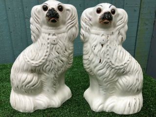 Pair 19thc Staffordshire White & Gilt Spaniel Dogs With Glass Eyes C1880s
