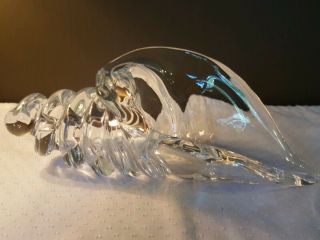Licio Zanetti Murano Crystal Art Glass Cornucopia Conch Shell Signed 11 " Long