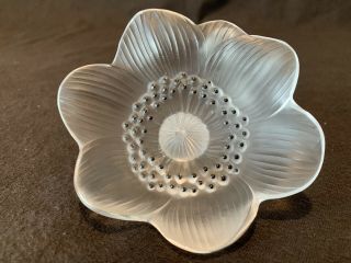 Lalique Crystal Anemone Flower Poppy Flora Paperweight France Large