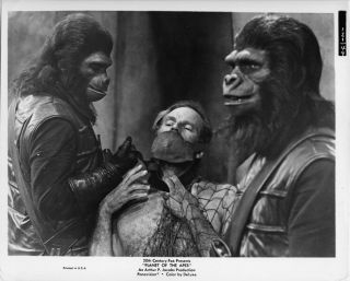 Planet Of The Apes 8x10 Photo Charlton Heston Restrained By Apes