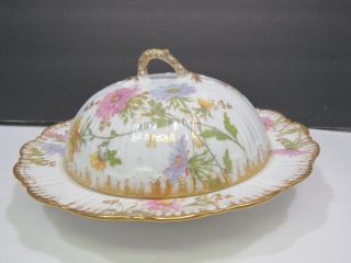 Rare M.  Redon Limoges Porcelain France Hand Painted Coverd Cheese Keeper Dish 2
