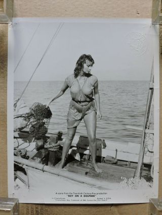 Sophia Loren In A Wet Dress Leggy Portrait Photo 1957 Boy On A Dolphin