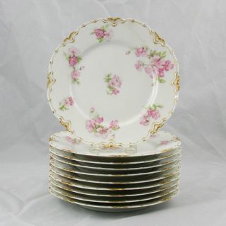 10 Haviland & Co.  Limoges France Plates 8.  5 " Schleiger 442a Pink Flowers