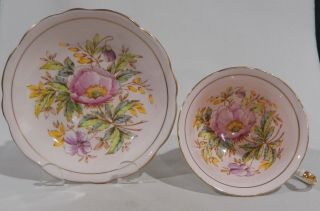 1940s Eb Foley " Poppy " Hand Painted Cup & Saucer Pink Background Colorway