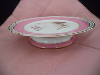 Sevres Porcelain China Low Tazza Footed Serving Plate 8.  75in Butterflies Gold