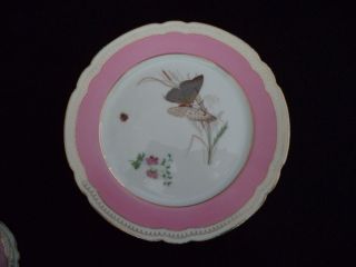 Sevres porcelain china low tazza footed serving plate 8.  75in butterflies gold 2