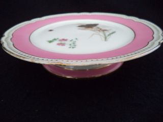 Sevres porcelain china low tazza footed serving plate 8.  75in butterflies gold 3