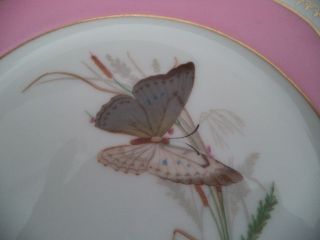 Sevres porcelain china low tazza footed serving plate 8.  75in butterflies gold 4