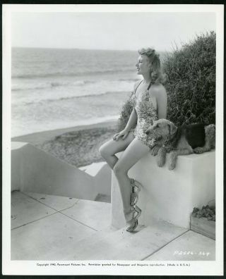 Muriel Angelus W Airedale Dog Vintage 1940 Leggy Cheesecake Photo