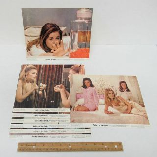 (8) Vintage 1967 (8x10) Movie Lobby Cards Valley Of The Dolls Sharon Tate Wz8571