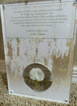 The Twilight Saga Breaking Dawn Part 1 Collectible Limited Edition PROP FLOWERS 2