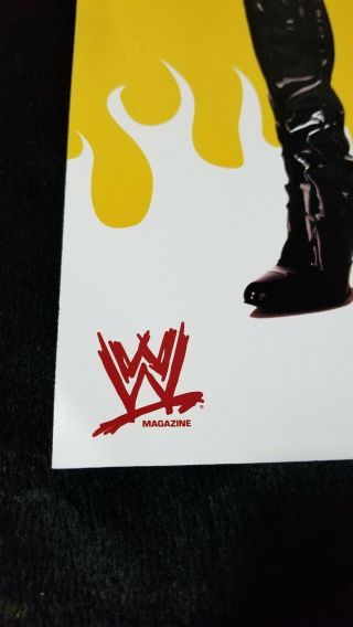 Lita WWF WWE Diva Devil in the Flesh Poster Spawned 1999 - 1990 ' s Fire Collectable 2