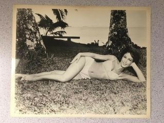 Barbara Eden Vintage Ride The Wild Surf 1964 8x10 B/w Promo Photo 2