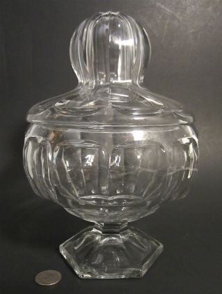 Rare Vintage Heisey Glass Colonial Panel 9 " Pedestal Footed Apothecary Candy Jar