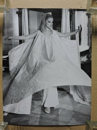 Virna Lisi Candid Photo By Elio Sorci 1966 A Maiden For The Prince