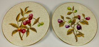 2 Antique Royal Worcester Plates W Hand Painted Gold Leaves & Berries Circa 1860 2