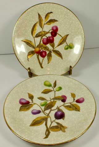 2 Antique Royal Worcester Plates W Hand Painted Gold Leaves & Berries Circa 1860 7
